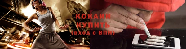 крисы Михайловка