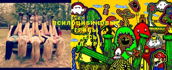 крисы Михайловка