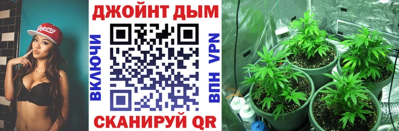 Конопля сатива Петушки